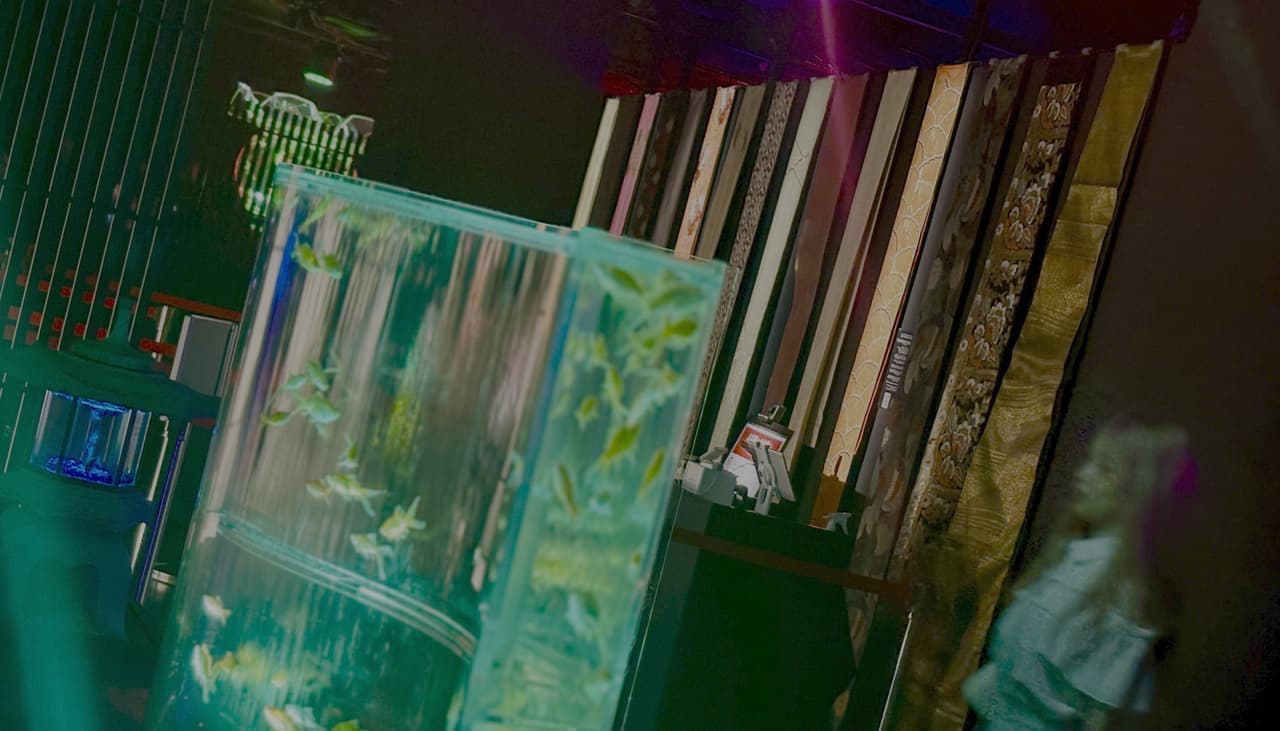 夏のアートアクアリウム2025